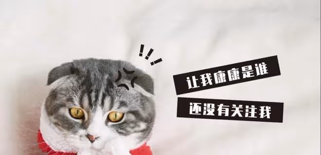 攤牌了！2023年A股大機率是小牛市，看好這三個方向！