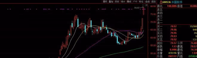 中國軟體，再度深入研究