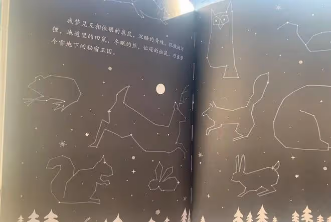 《雪地上,雪地下》:另一隻眼看冬天,理解生態多樣性