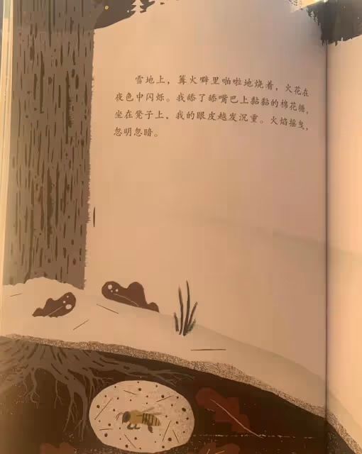 《雪地上,雪地下》:另一隻眼看冬天,理解生態多樣性
