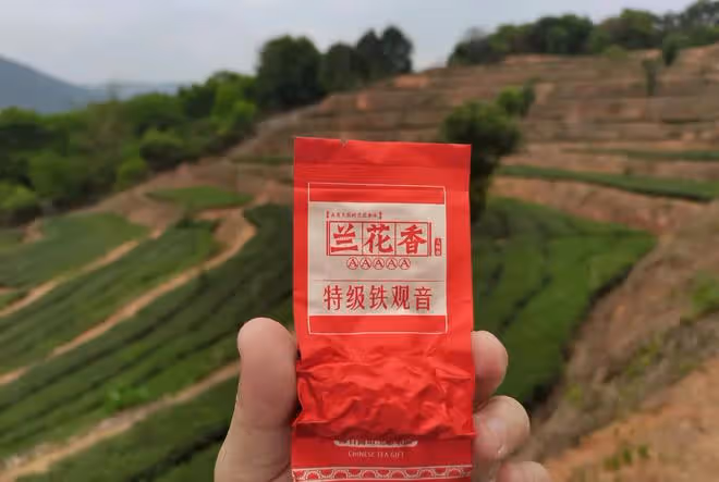 春節喝茶的細節,你知道幾個?