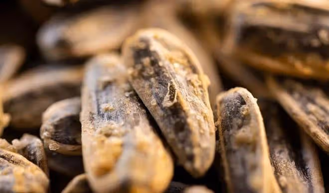 不管家裡多有錢,春節這四種乾果別買了,老實人:白給都不想要