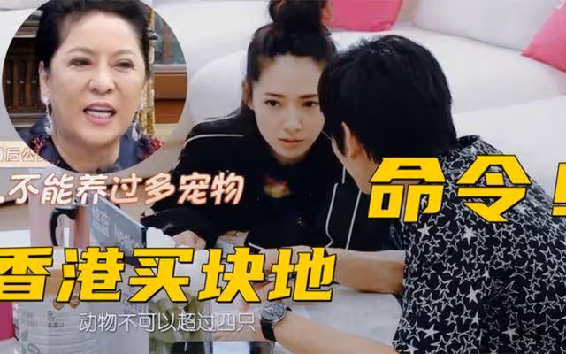 寵物不能超過4隻，卻給郭碧婷特權，向太警告向佐不能帶女生吃飯