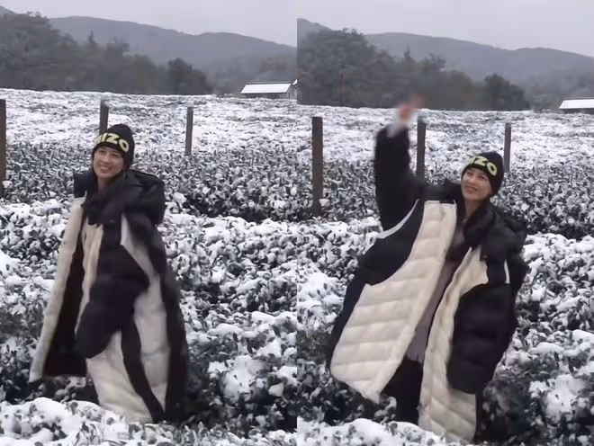 黃聖依久違秀恩愛,楊子為老婆掃雪顯卑微,獲對方喂食笑容幸福