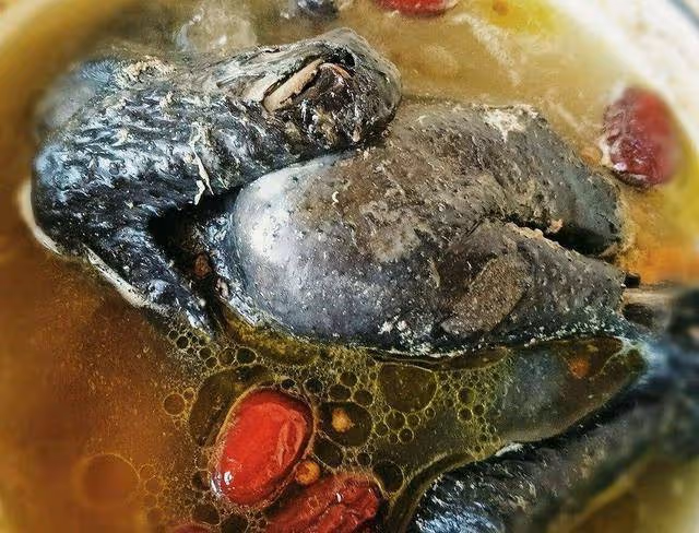 枸杞紅棗烏雞湯貴也要喝,鮮嫩美味,增強身體免疫力,全家都喜歡