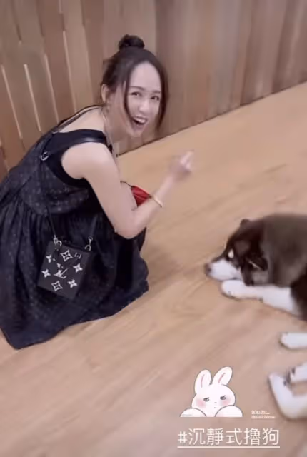 陳喬恩回馬來西亞看望公婆,春節和丈夫一起擼狗,合影像一家六口