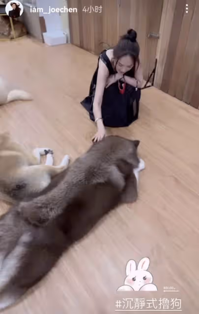 陳喬恩回馬來西亞看望公婆,春節和丈夫一起擼狗,合影像一家六口