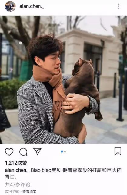陳喬恩回馬來西亞看望公婆,春節和丈夫一起擼狗,合影像一家六口