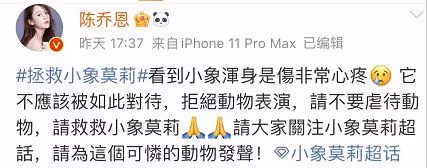 陳喬恩回馬來西亞看望公婆,春節和丈夫一起擼狗,合影像一家六口