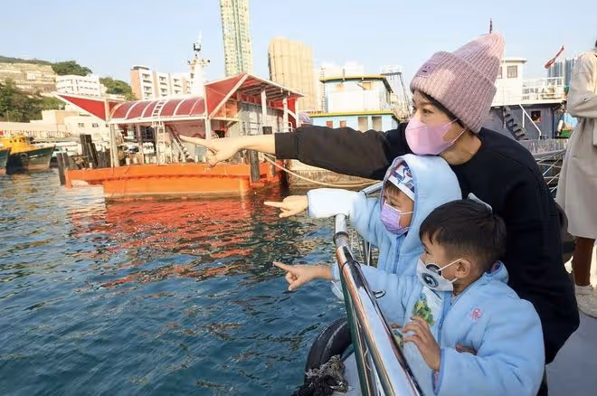 43歲胡杏兒帶娃逛海洋公園,三個兒子穿兄弟裝,熱鬧如同開幼兒園