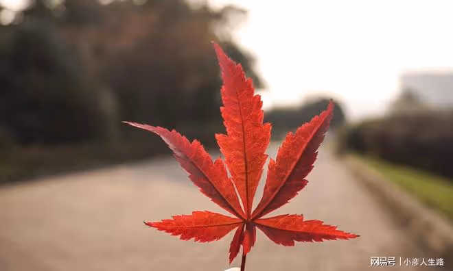 人活到極致，是「不要臉」（深刻）