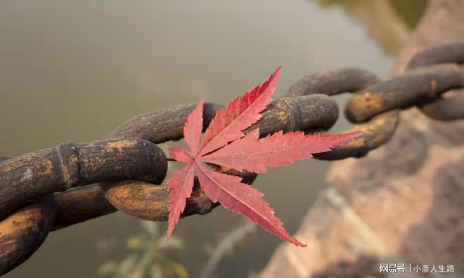 人活到極致，是「不要臉」（深刻）