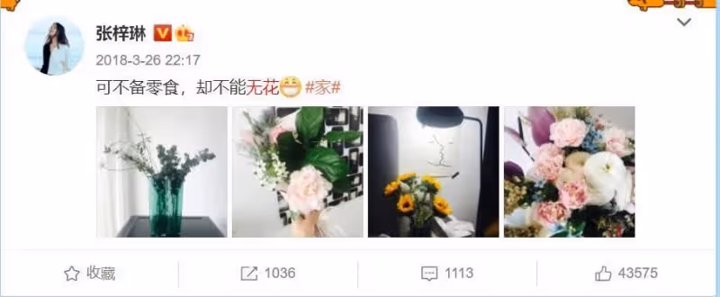 被稱「中國第一美女」，懷胎6月上春晚，拒絕30億豪門，嫁真愛