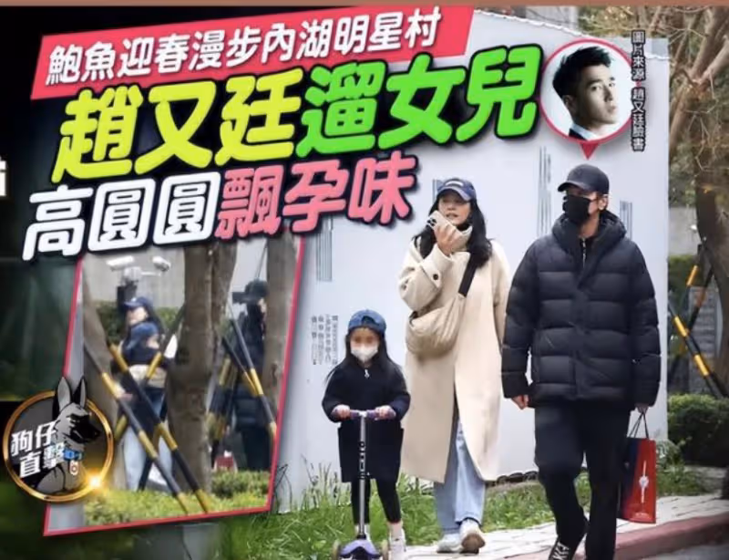 高圓圓疑似懷二胎,跟趙又廷恩愛如連體嬰
