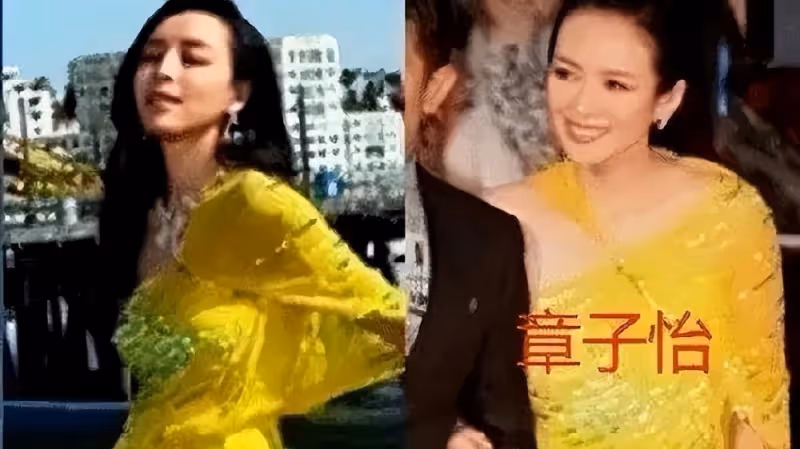 被稱為「小章子怡」的她，被「造黃謠」，淪為糊咖
