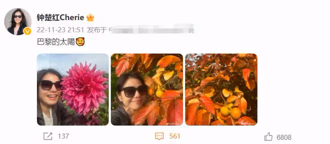 鍾楚紅曬紐西蘭生活靚照!農場摘水果開心看羊駝,喪夫後單身15年