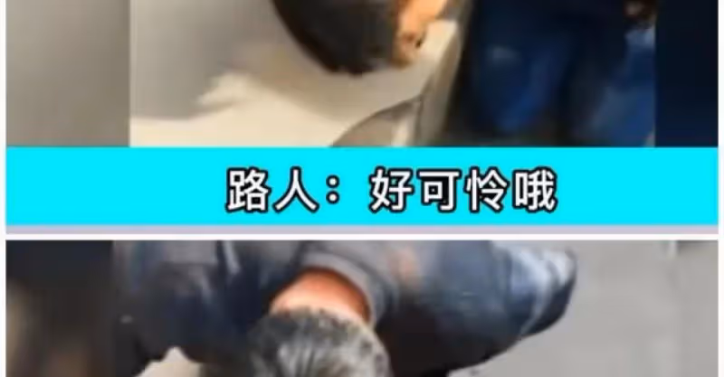丈夫出軌紅顏，還把妻子打進醫院，接下來妻子的做法太令人解氣了