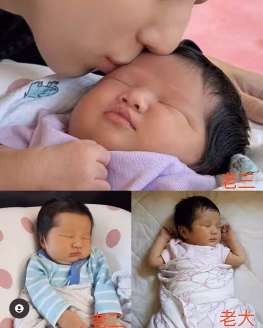 鍾嘉欣曬三胎正面照,3個月大女兒中文名曝光,混血兒特徵不明顯