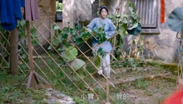 疑遭公司冷待!TVB上位小花新劇變跑龍套,曾被推做佘詩曼接班人