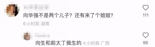向華強神秘長女露面,奢華打扮氣場強大,舉手投足神似繼母向太