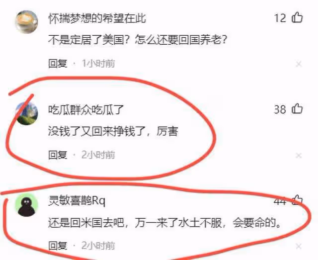 孫海英呂麗萍夫婦回國過年,不當言論再被提,網友直呼還敢回來