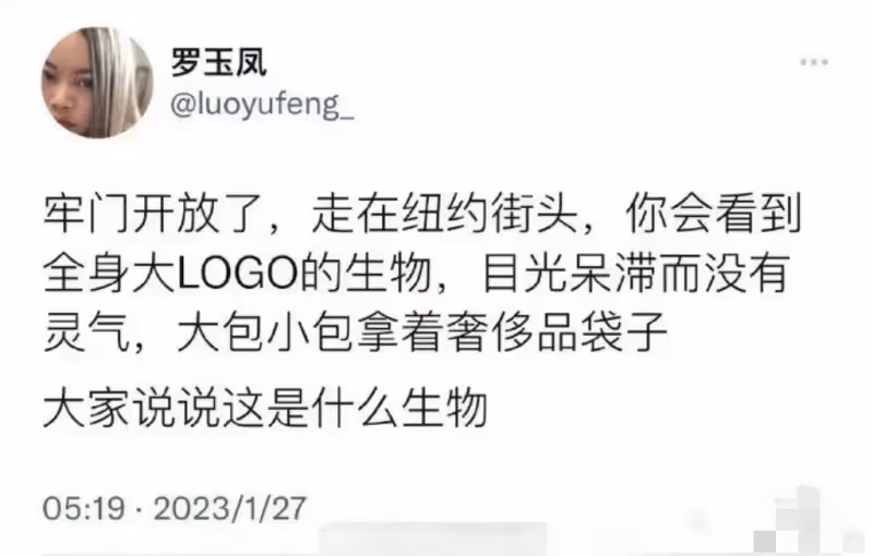 鳳姐諷刺國人紐約購物毫無靈氣,對網友的嘲諷耿耿於懷格局太小