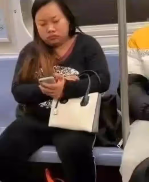 鳳姐諷刺國人紐約購物毫無靈氣,對網友的嘲諷耿耿於懷格局太小