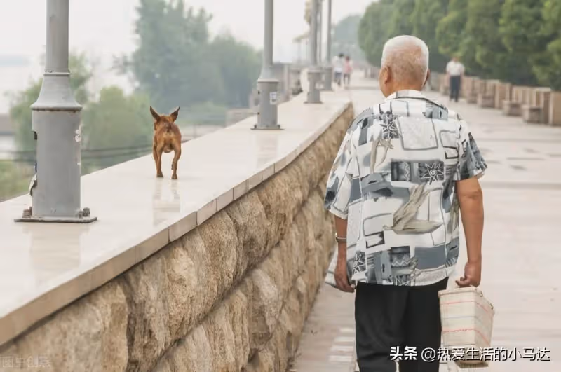 退休之後!老人拒絕了「兒子的3大請求」做到了自私為己 如今晚年過得「比誰都幸福」