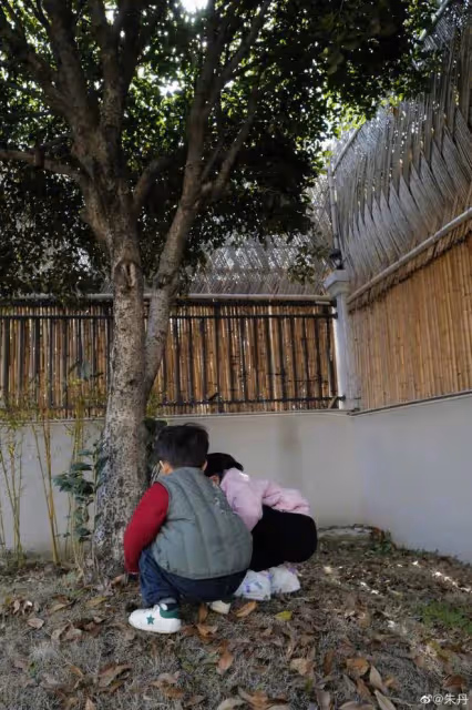 朱丹曬春節溫馨日常,周一圍耐心陪兒女玩耍,長發身形和老婆超像