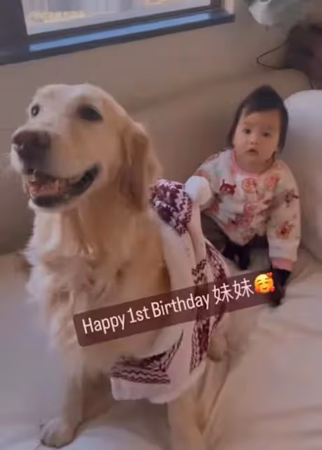 與老公約定再造人!港女星新年回娘家補擺喜酒,被預測兔年再懷孕