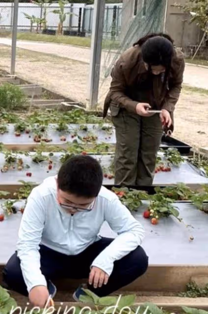 甘比曬兒子壓歲錢,金額遠超同齡人,網友說甘比不喜歡錢是假的