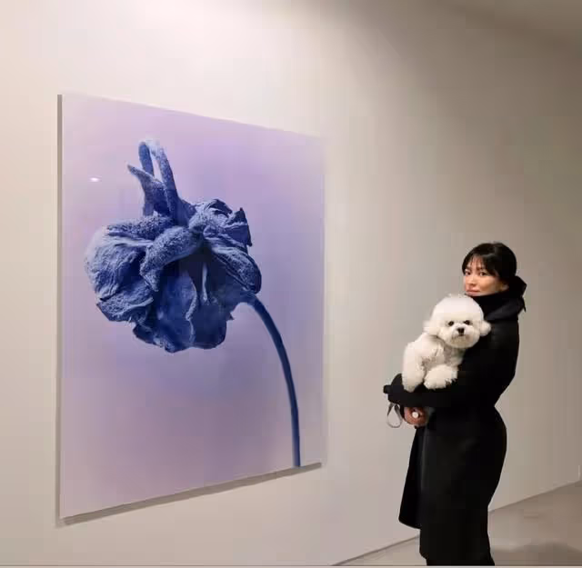 宋仲基將辦婚禮,接妻父母來韓,住梨泰院別墅,憧憬新的夫妻生活