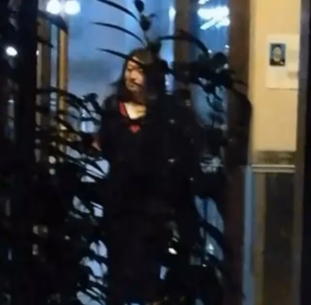 胡歌官宣當爸,老婆被爆是高知家庭,兩人疑似養貓相識,眾人祝福