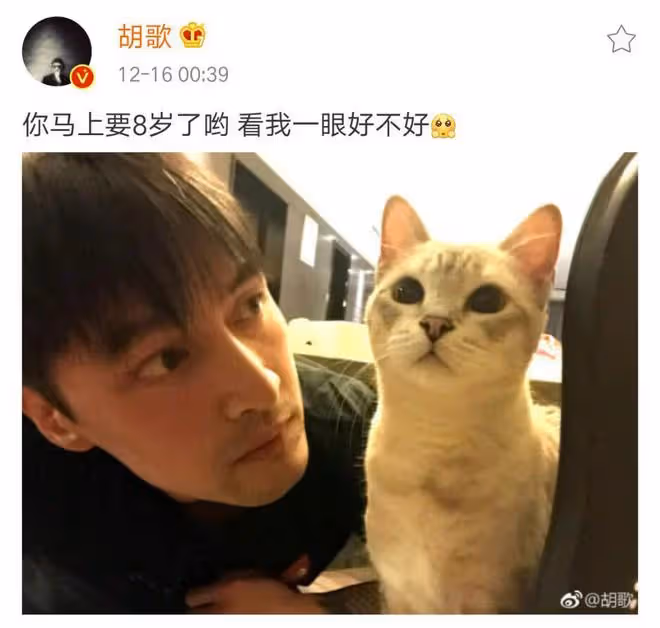 胡歌結婚生女引爆熱搜，老婆正面照或曝光，疑月初進月子中心待產