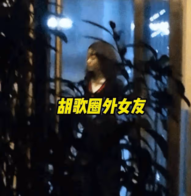 胡歌與小10歲嬌妻領證登記信息曝光，高知家庭門當戶對，他親下廚