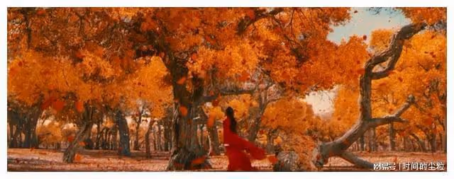 滿江紅：成名背後