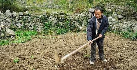 第一次見親家！父親「打包剩菜」被女方酸爆：沒錢裝什麼？結賬時經理「一句話」嚇壞親家母