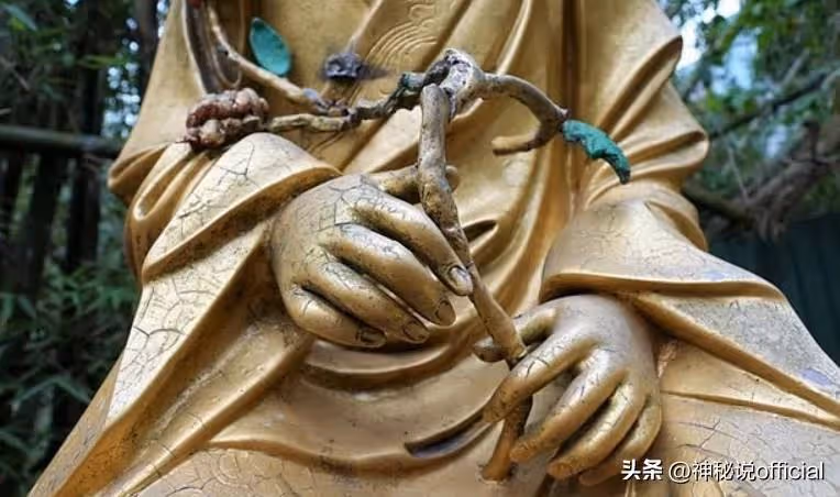 85歲尼姑絕食7天圓寂!生前交代弟子「把肉身放到坐缸中」3年後「修成正果開缸」驚呆在場所有人