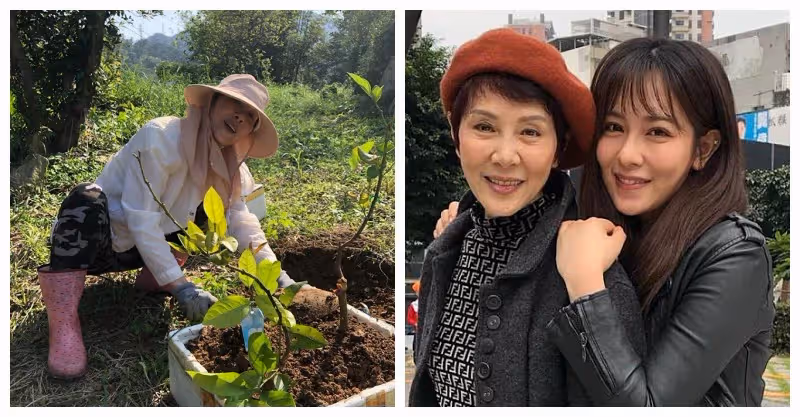 一生大起大落!69歲女星「兩度替夫還債」健康又亮紅燈 「獨自住進養老院」感恩三餐溫飽