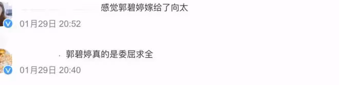 向佐攜妻兒游遊樂場，郭碧婷長發飄飄氣質佳，體態臃腫被疑懷三胎