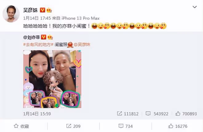 劉亦菲曬與「阿奶」吳彥殊合照,豆奶組合一起插花,又美又氣質