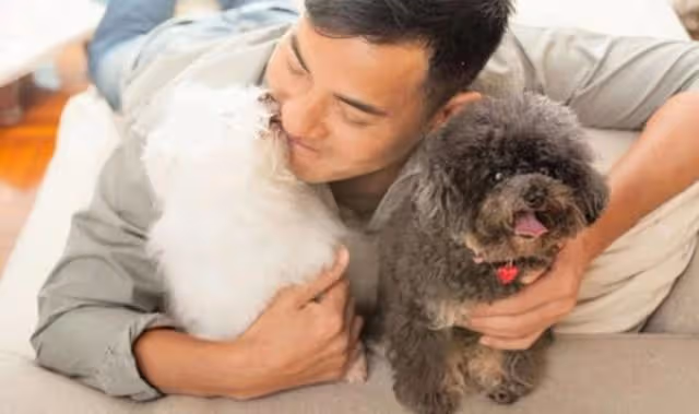 養狗為樂！TVB男星與太太婚後生活滋潤，共識不生育把狗狗當孩子