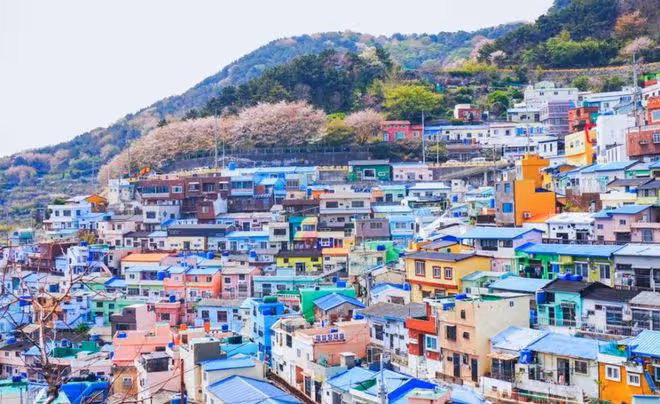 適合韓國留學期間說走就走的寒假旅行推薦地