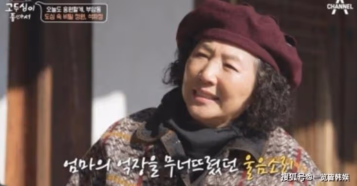 高斗心節目公開離婚心境 對前夫十分感恩 國民媽媽形象深入人心