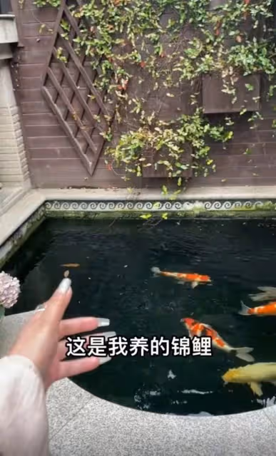 59歲千百惠陽康後得帶狀皰疹!嘴上疤痕明顯,容貌大變陷整容風波