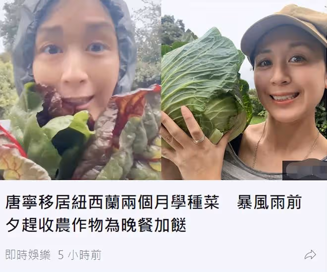 知名港星移民國外獨自生活,學種菜自給自足,已離婚子女暫未同行