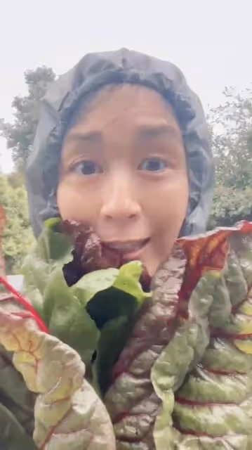 知名港星移民國外獨自生活,學種菜自給自足,已離婚子女暫未同行