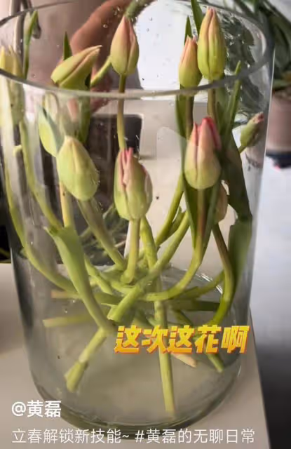 黃磊在家學插花，孫莉誇讚漂亮，夫妻倆因浪費水被留言批評