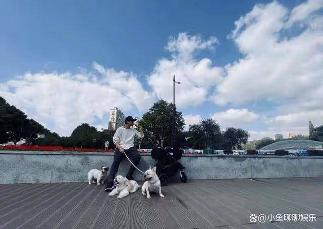 孫儷立春曬手寫第68遍隸書心經,表示還要練習詩詞,文學氣息滿滿