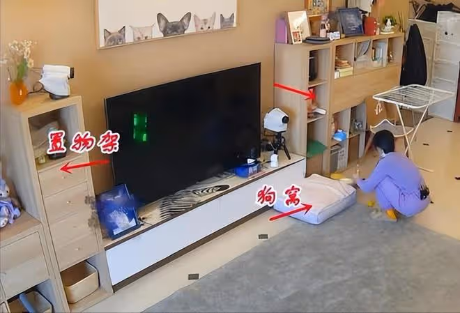 34歲陳小紜演繹「另類豪宅」,溫馨精緻,一點都不顯俗氣,超喜歡